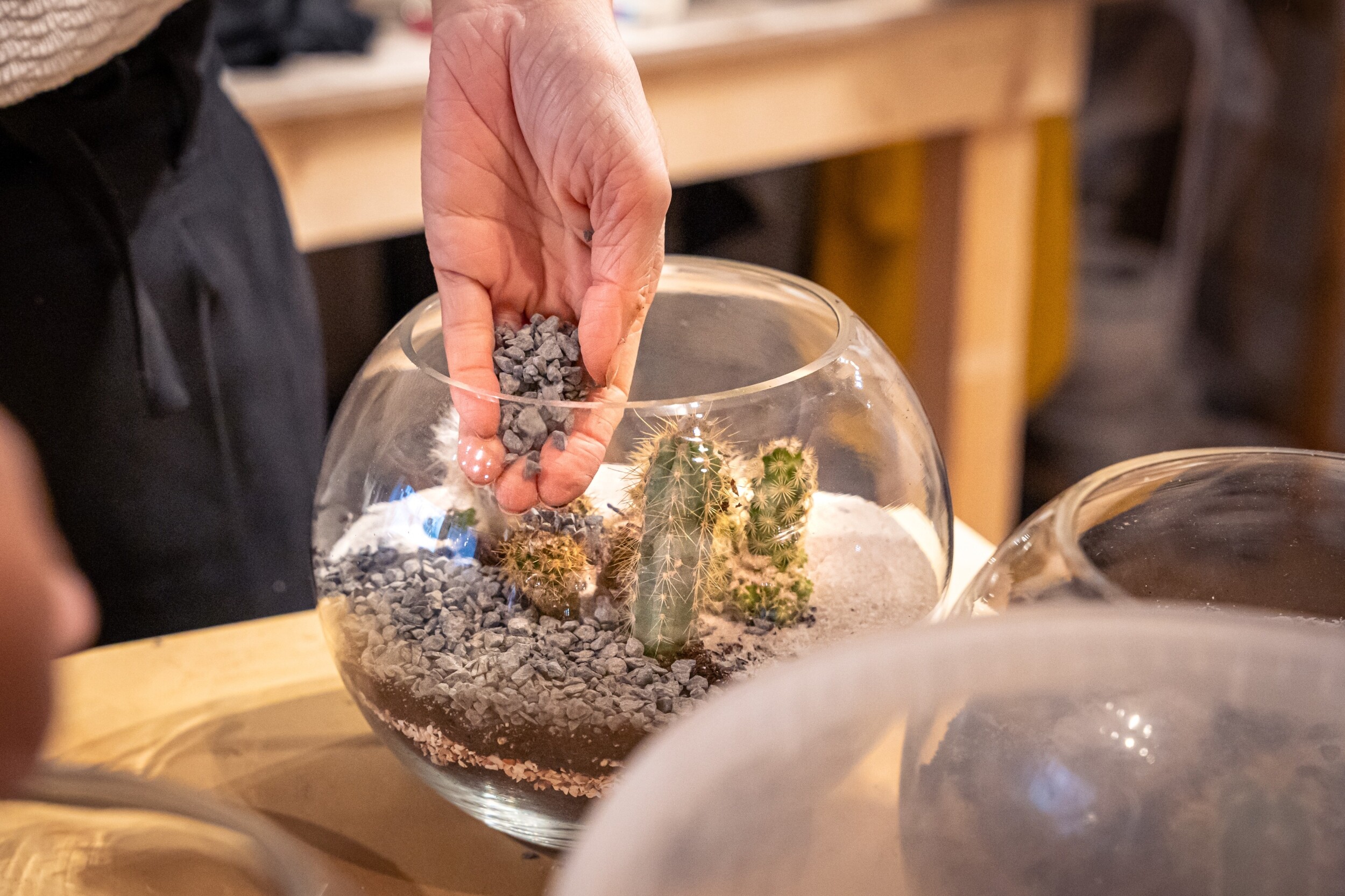 Wecandoo - Réalisez votre terrarium de cactus - Image n°8