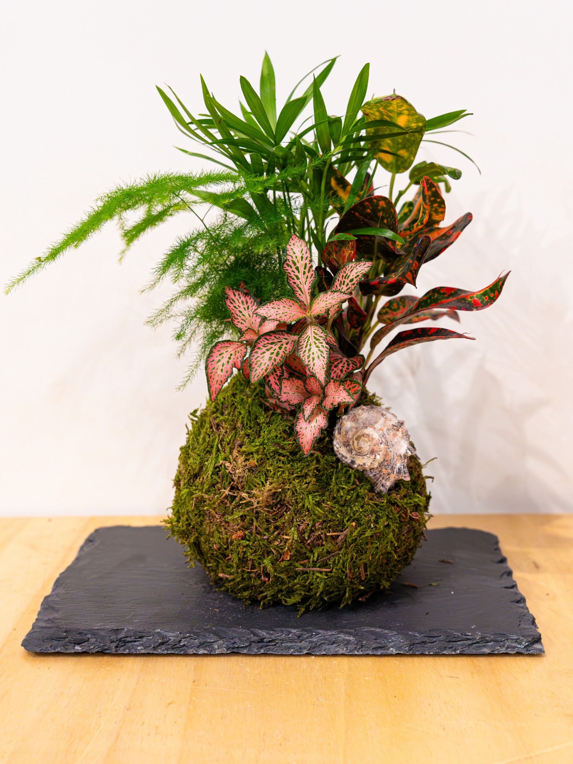 Wecandoo - Réalisez votre kokedama - Image n°4