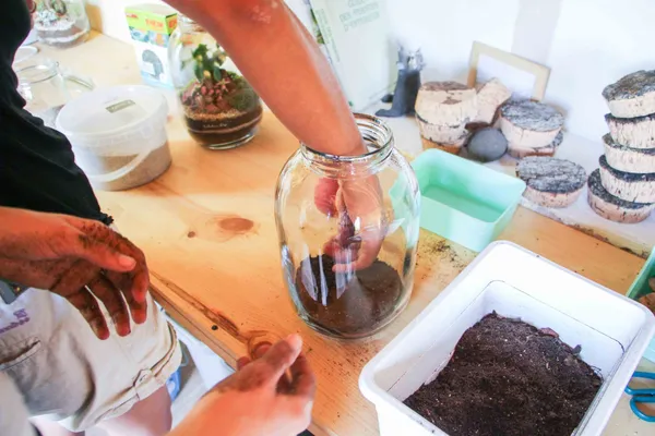 Motivez votre équipe et composez votre terrarium - Image n°2 - Wecandoo