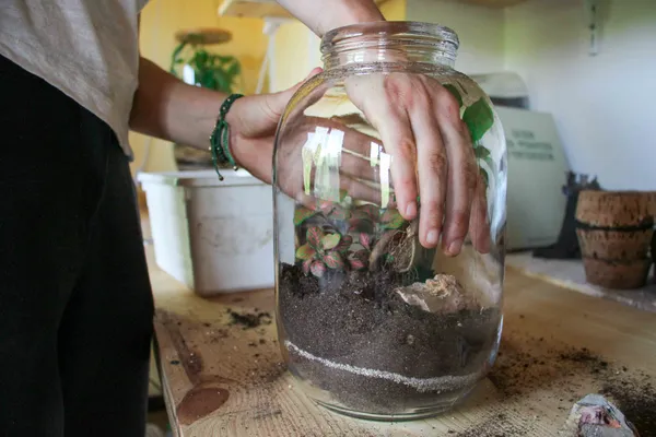 Motivez votre équipe et composez votre terrarium - Image n°4 - Wecandoo