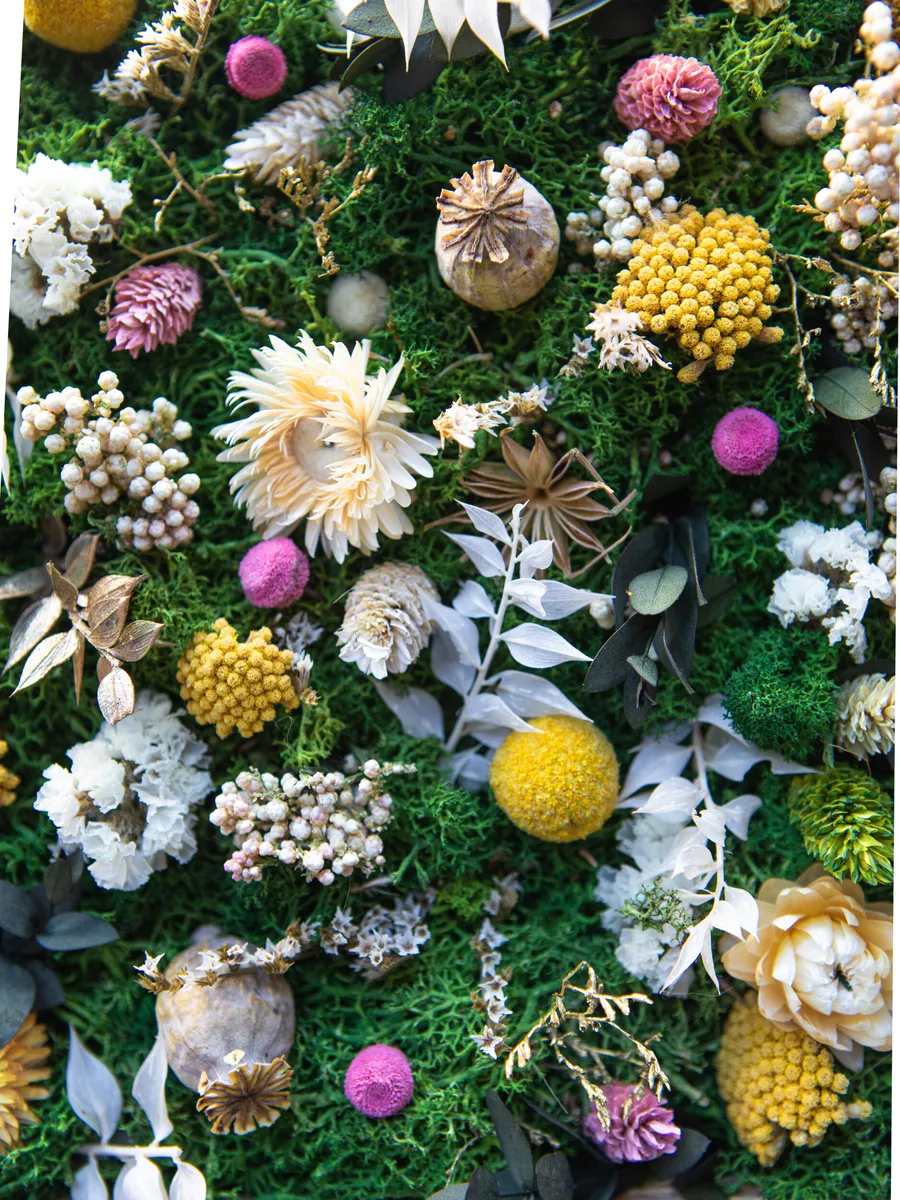 Sensibilisez votre équipe et réalisez votre œuvre végétale avec Lisa et Julia - Image n°1 - Wecandoo