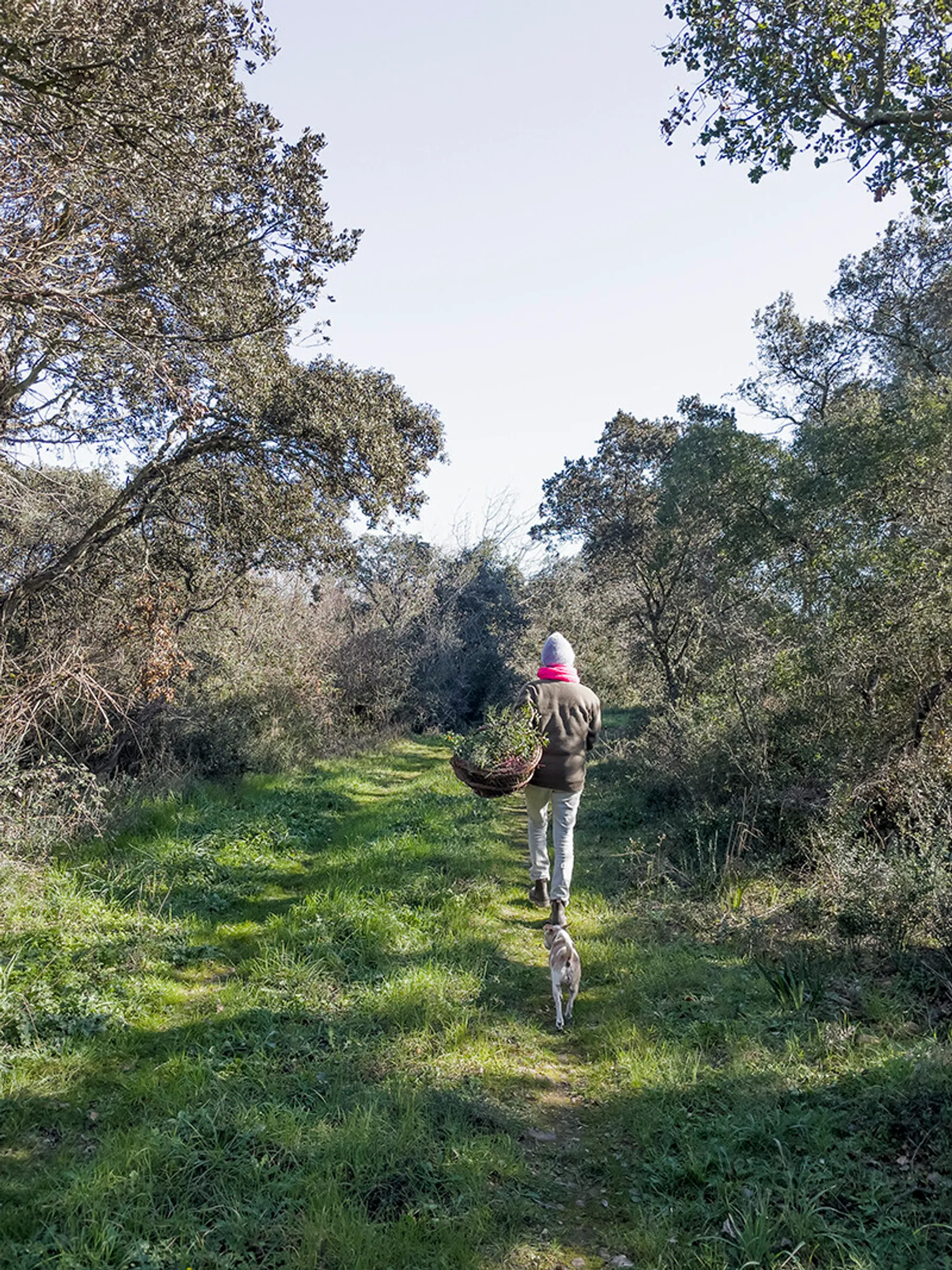 Créez votre couronne de saison - Image n°1 - Wecandoo