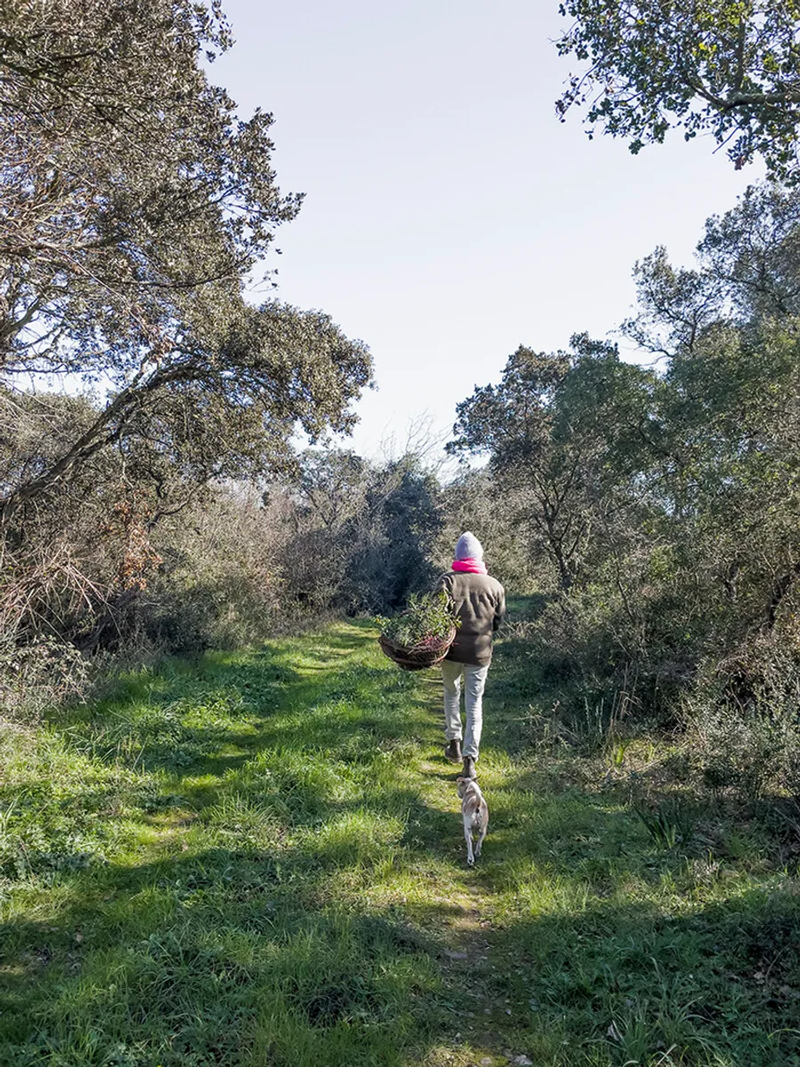 Créez votre couronne de saison - Image n°1 - Wecandoo