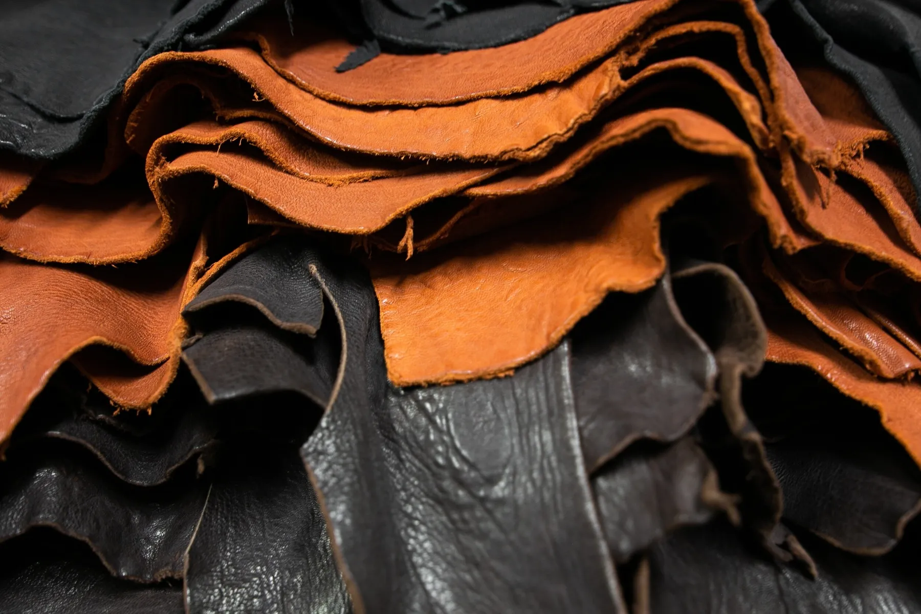 Confectionnez votre ceinture en cuir - Image n°3 - Wecandoo