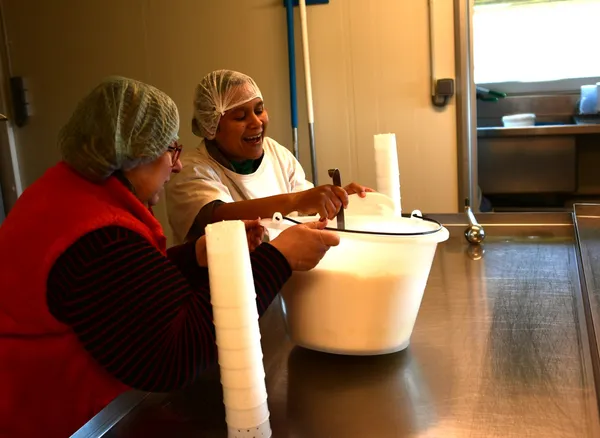 Visitez une chèvrerie et fabriquez votre fromage de chèvre - Image n°2 - Wecandoo