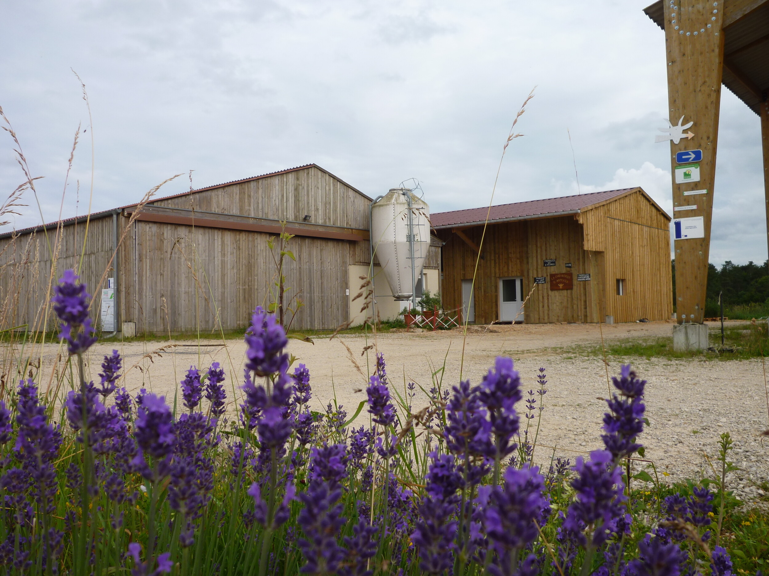 Wecandoo - Visitez une chèvrerie et fabriquez votre fromage de chèvre - Image n°1