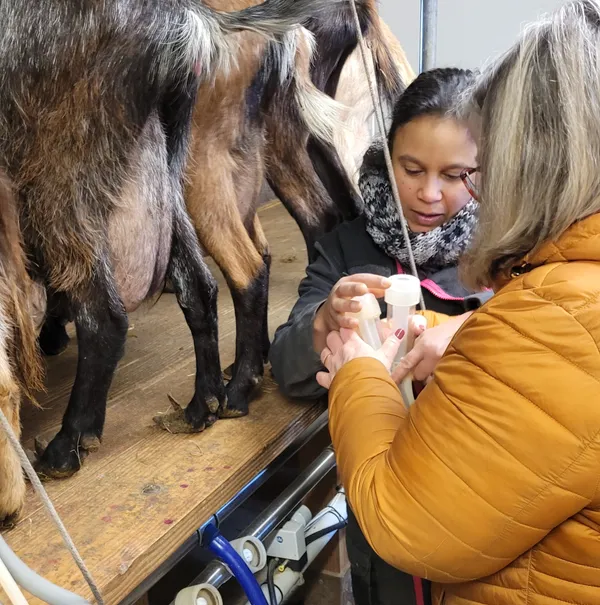 Vivez la vie d'un chevrier - Image n°3 - Wecandoo