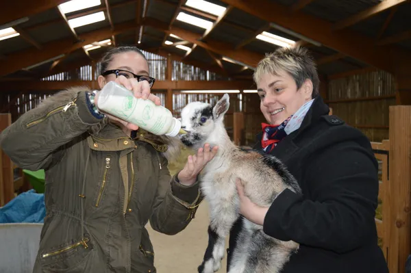 Vivez la vie d'un chevrier - Image n°4 - Wecandoo