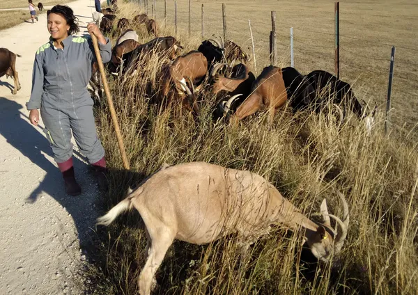 Vivez la vie d'un chevrier - Image n°2 - Wecandoo