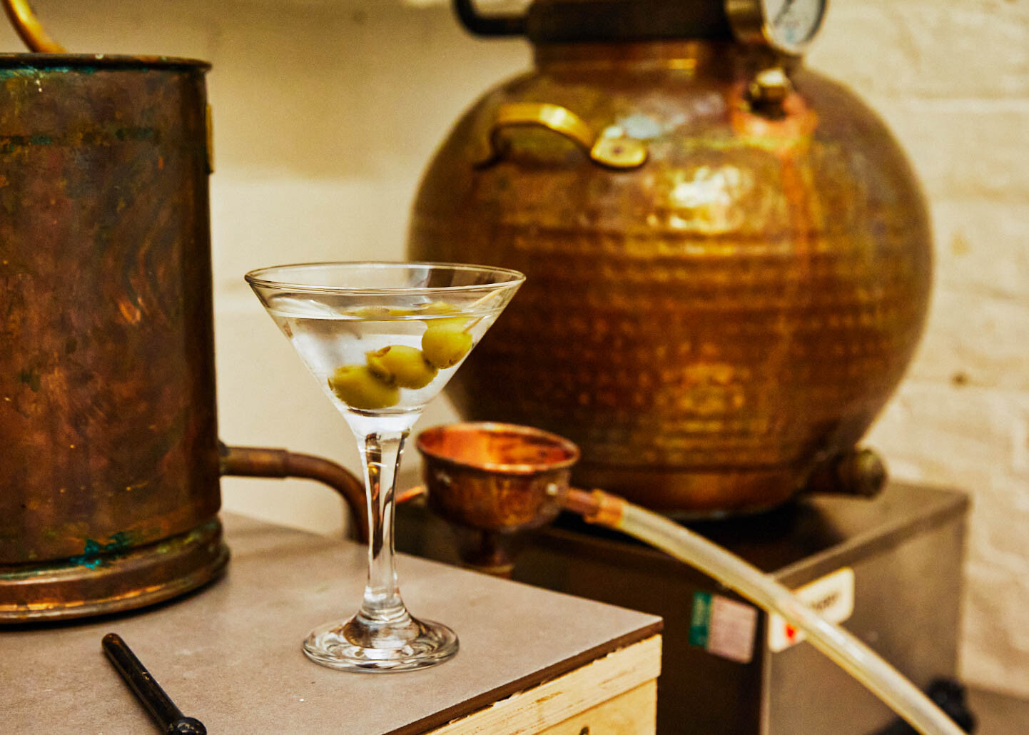 Wecandoo - Discover how gin is made, learn about botanicals and taste different gins - Image n°8