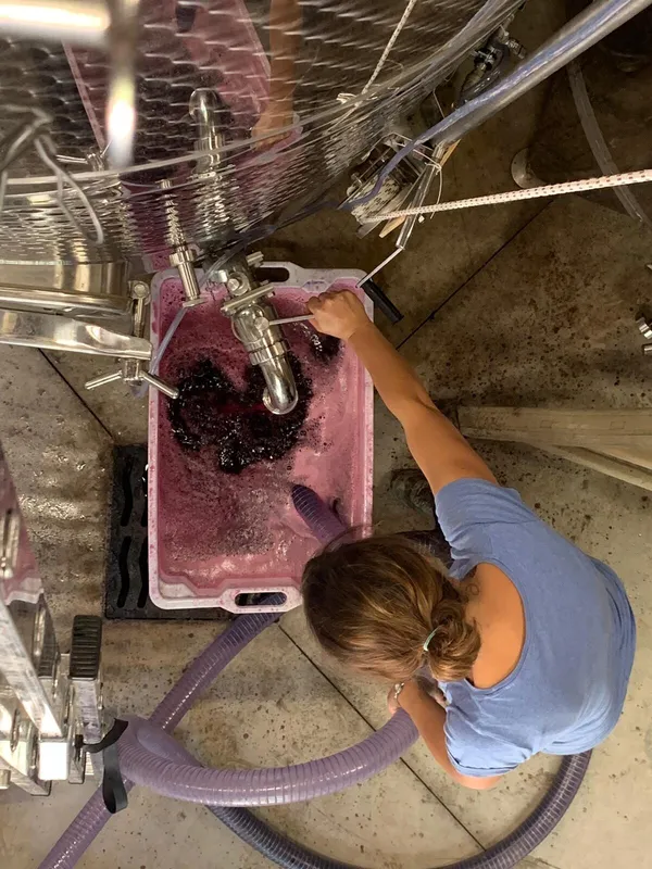 Visitez un domaine viticole et dégustez des vins - Image n°4 - Wecandoo