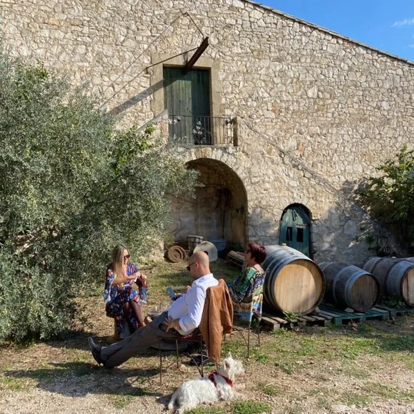 Découvrez l'oléiculture et dégustez des produits dans un domaine - Image n°3 - Wecandoo