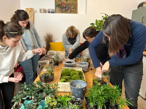 Créez votre terrarium - Image n°2 - Wecandoo