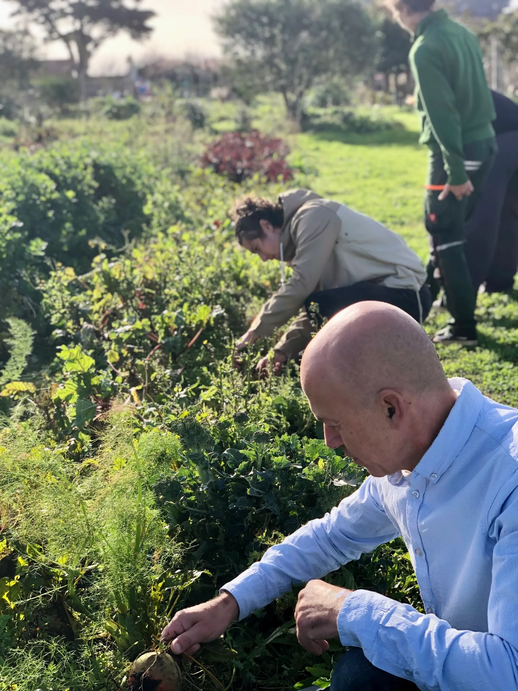 Visitez un potager en permaculture et cuisinez vos légumes avec Benjamin - Image n°1 - Wecandoo