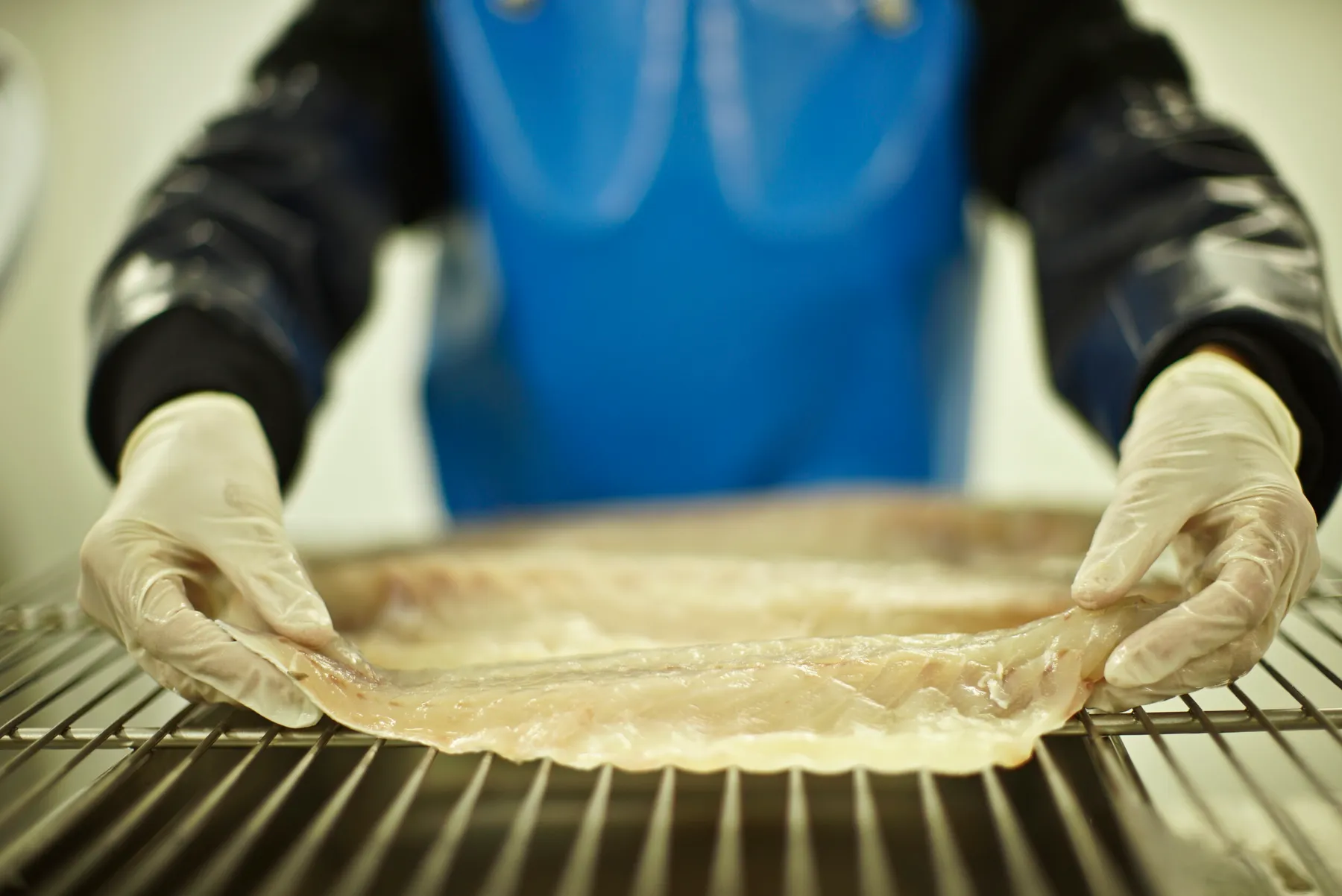 Apprenez à travailler et fumer du poisson sauvage - Image n°1 - Wecandoo