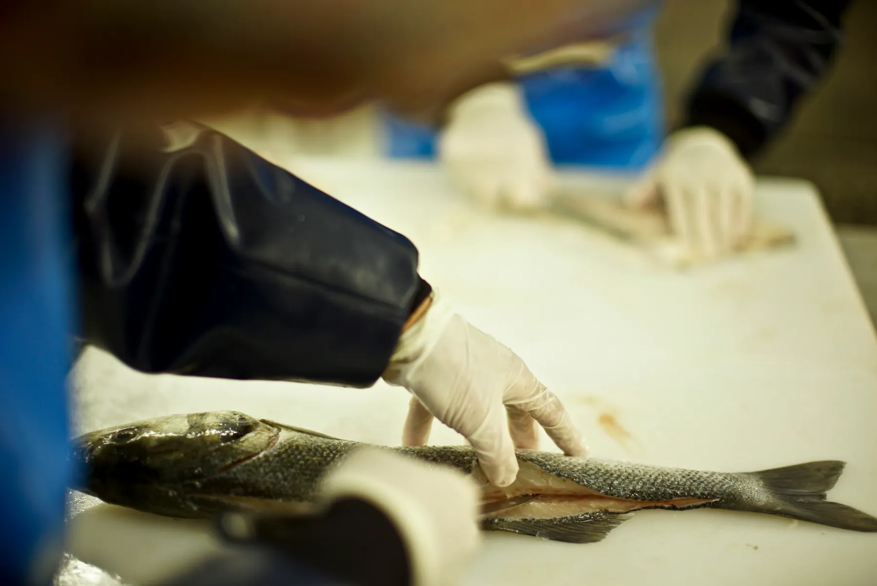 Apprenez à travailler et fumer du poisson sauvage - Image n°2 - Wecandoo