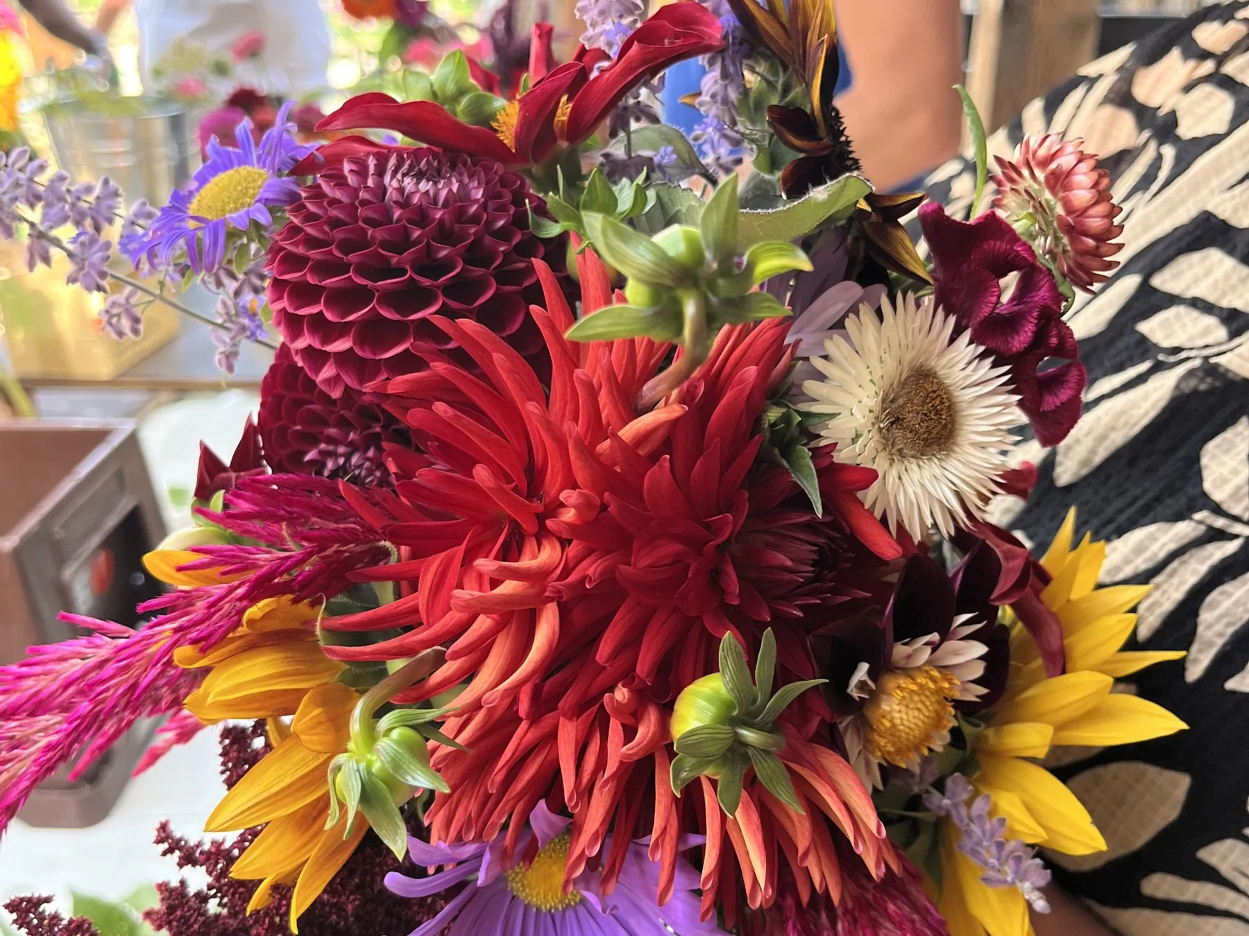 Visitez une ferme urbaine et dégustez des micro-pousses - Image n°4 - Wecandoo