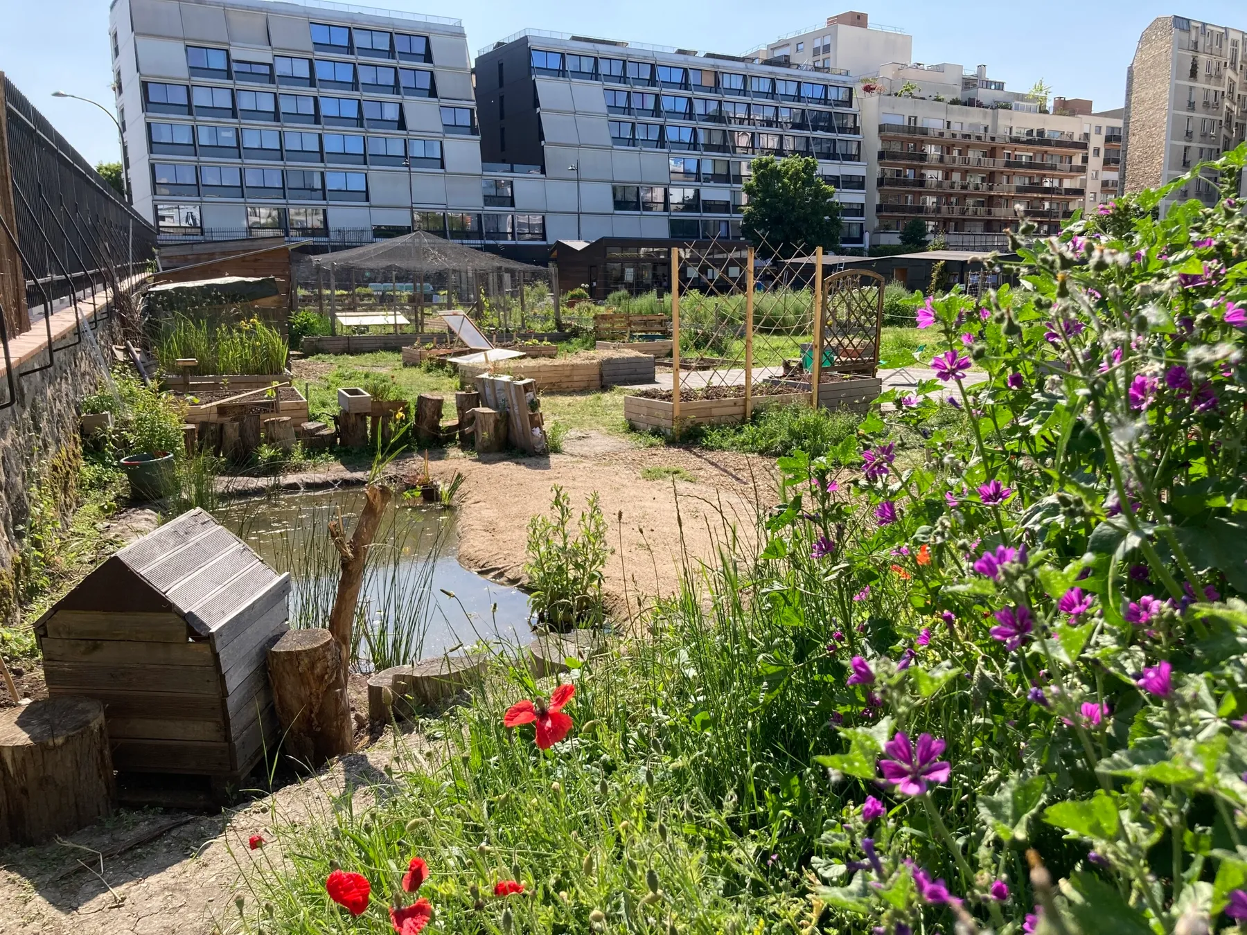 Visitez une ferme urbaine et dégustez des micro-pousses - Image n°3 - Wecandoo