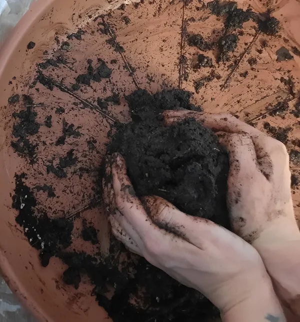 Créez votre kokedama - Image n°2 - Wecandoo