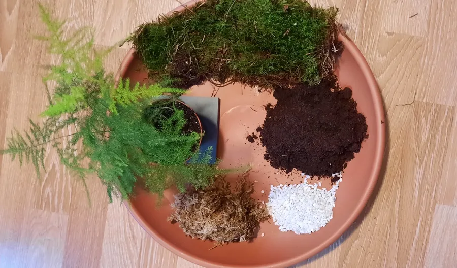 Créez votre kokedama - Image n°1 - Wecandoo