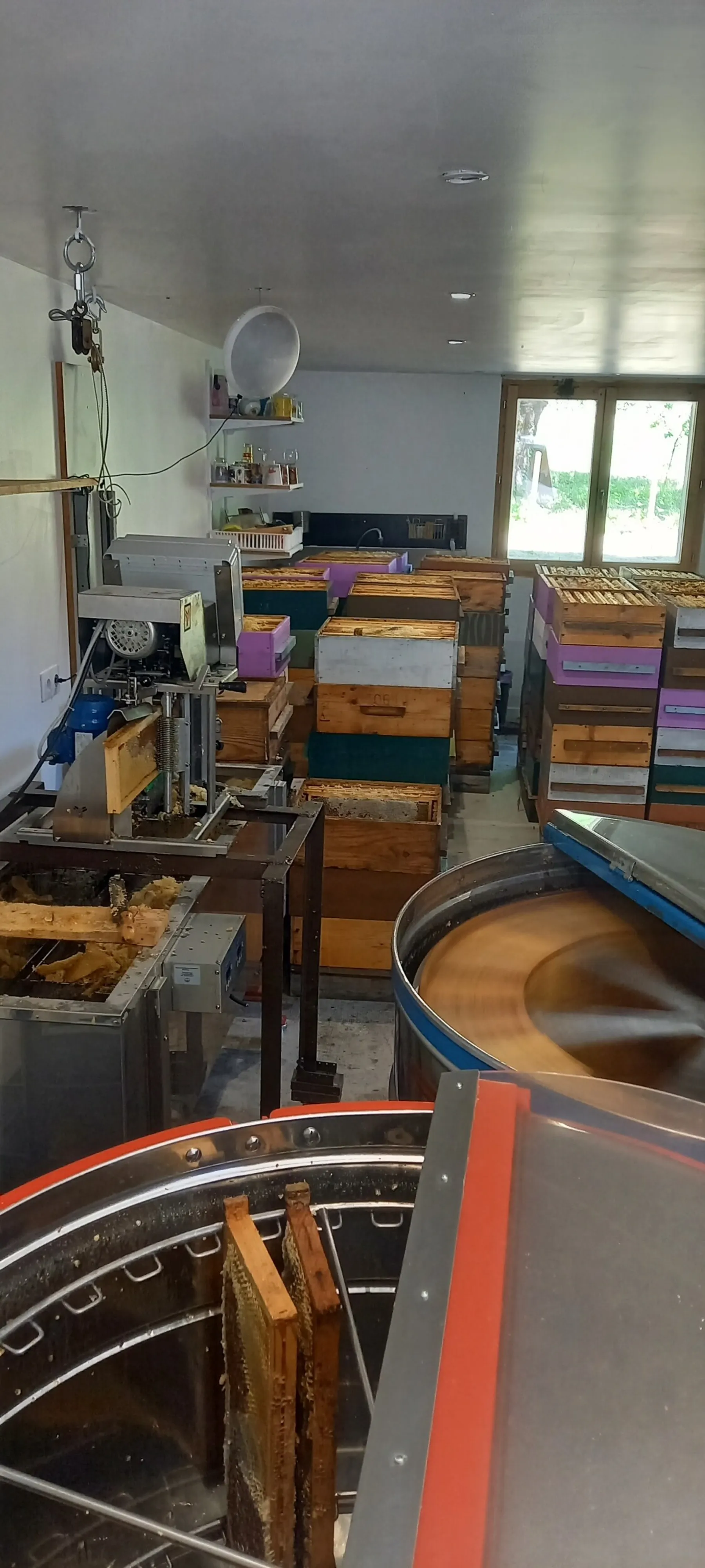 Passez une journée avec un apiculteur et ses abeilles - Image n°1 - Wecandoo