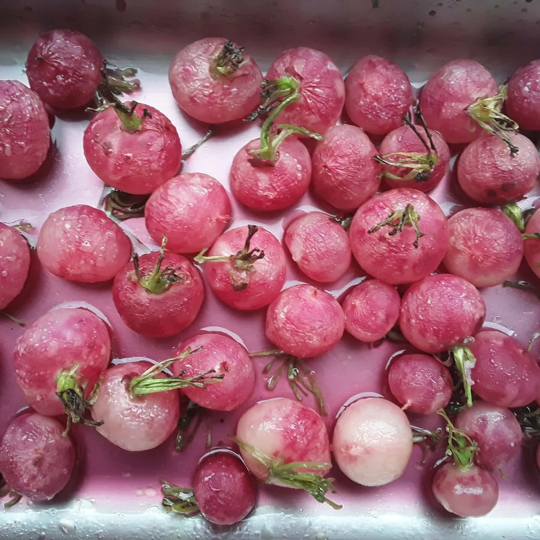 Préparez et sublimez les légumes - Image n°4 - Wecandoo