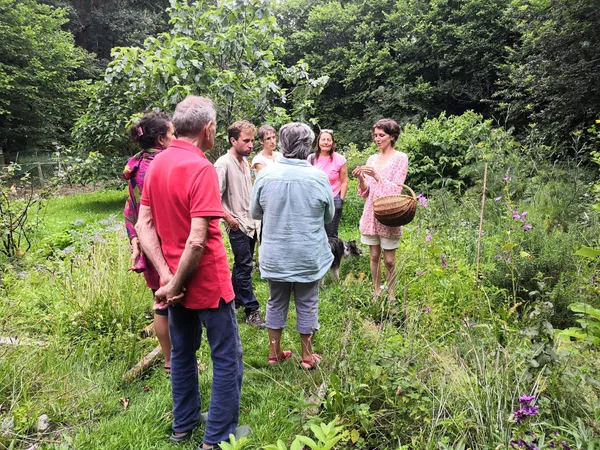 Découvrez la cuisine avec des plantes sauvages sur une journée - Image n°2 - Wecandoo