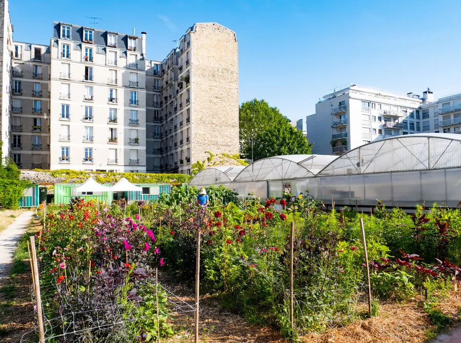 Réalisez votre tisane dans une ferme urbaine - Image n°1 - Wecandoo