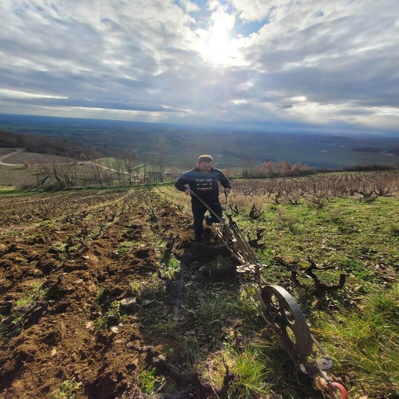 Wecandoo - Passez la journée dans la peau d'un.e vigneron.ne - Image n°3