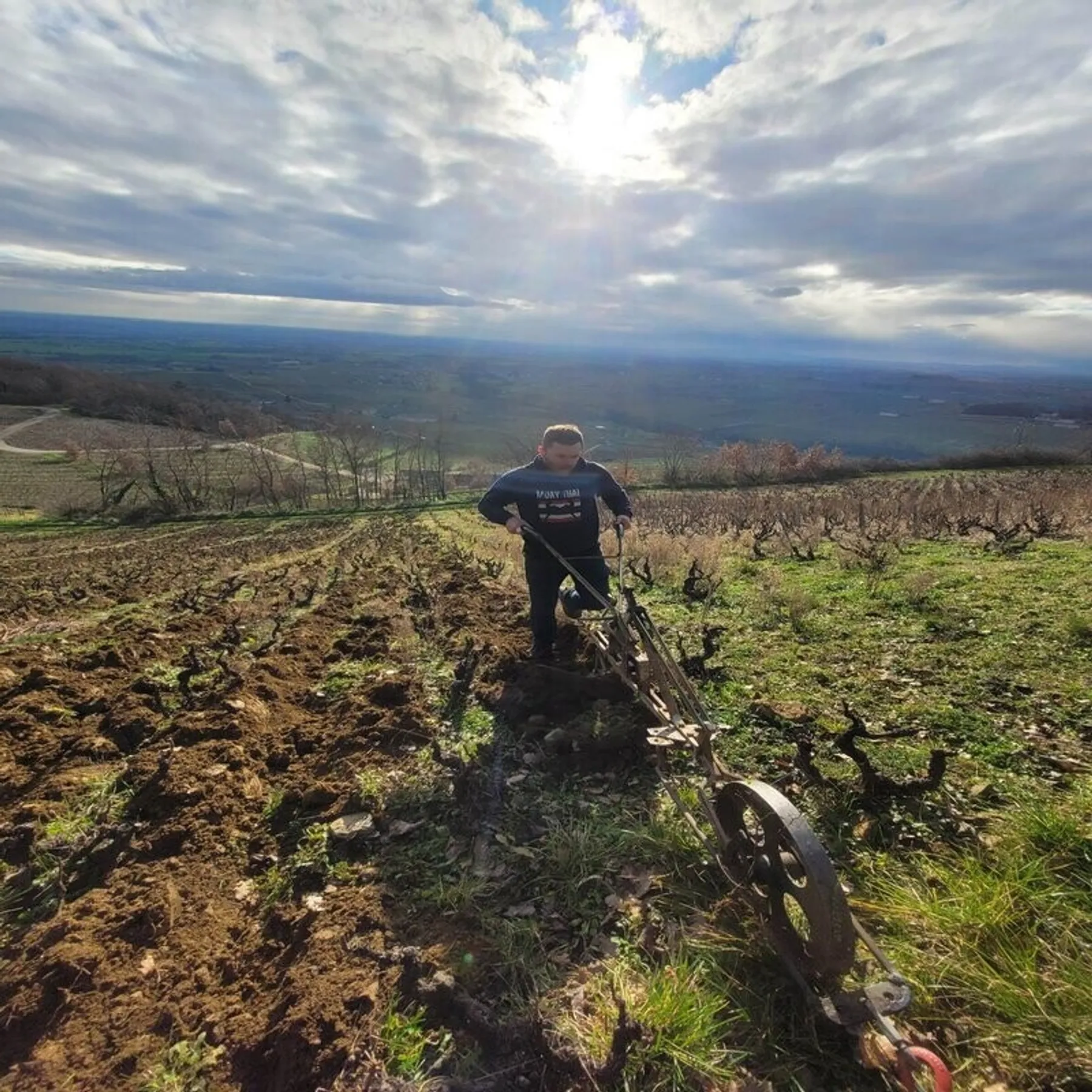 Passez la journée dans la peau d'un.e vigneron.ne - Image n°3 - Wecandoo