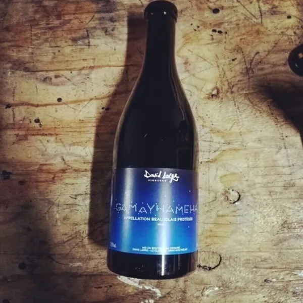 Dégustez des vins à l'aveugle et initiez-vous aux méthodes de dégustation et de vinification dans votre lieu - Image n°3 - Wecandoo