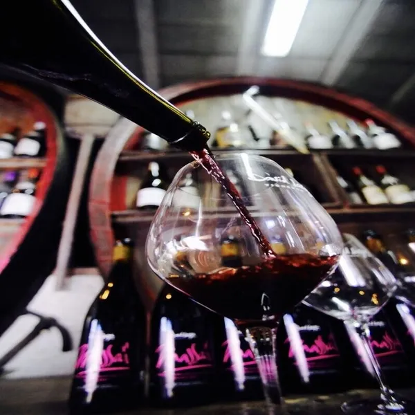 Dégustez des vins à l'aveugle et initiez-vous aux méthodes de dégustation et de vinification dans votre lieu - Image n°2 - Wecandoo