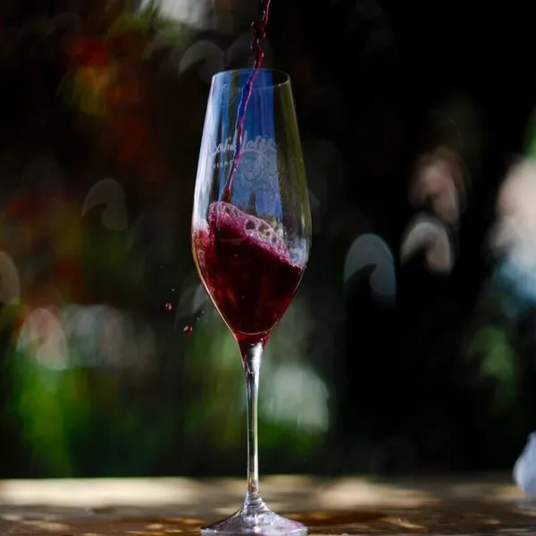 Dégustez des vins à l'aveugle et initiez-vous aux méthodes de dégustation et de vinification dans votre lieu - Image n°5 - Wecandoo