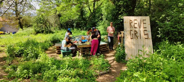 Réalisez votre repas et pâté végétal à base de plantes surprenantes - Image n°1 - Wecandoo
