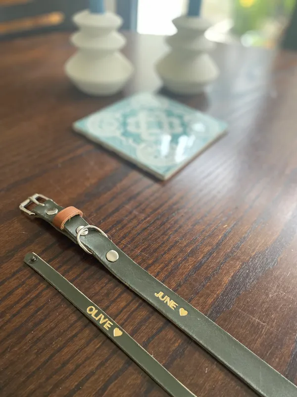 Réalisez votre collier pour chien ou chat - Image n°3 - Wecandoo