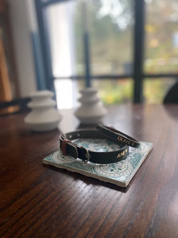 Réalisez votre collier pour chien ou chat - Image n°4 - Wecandoo