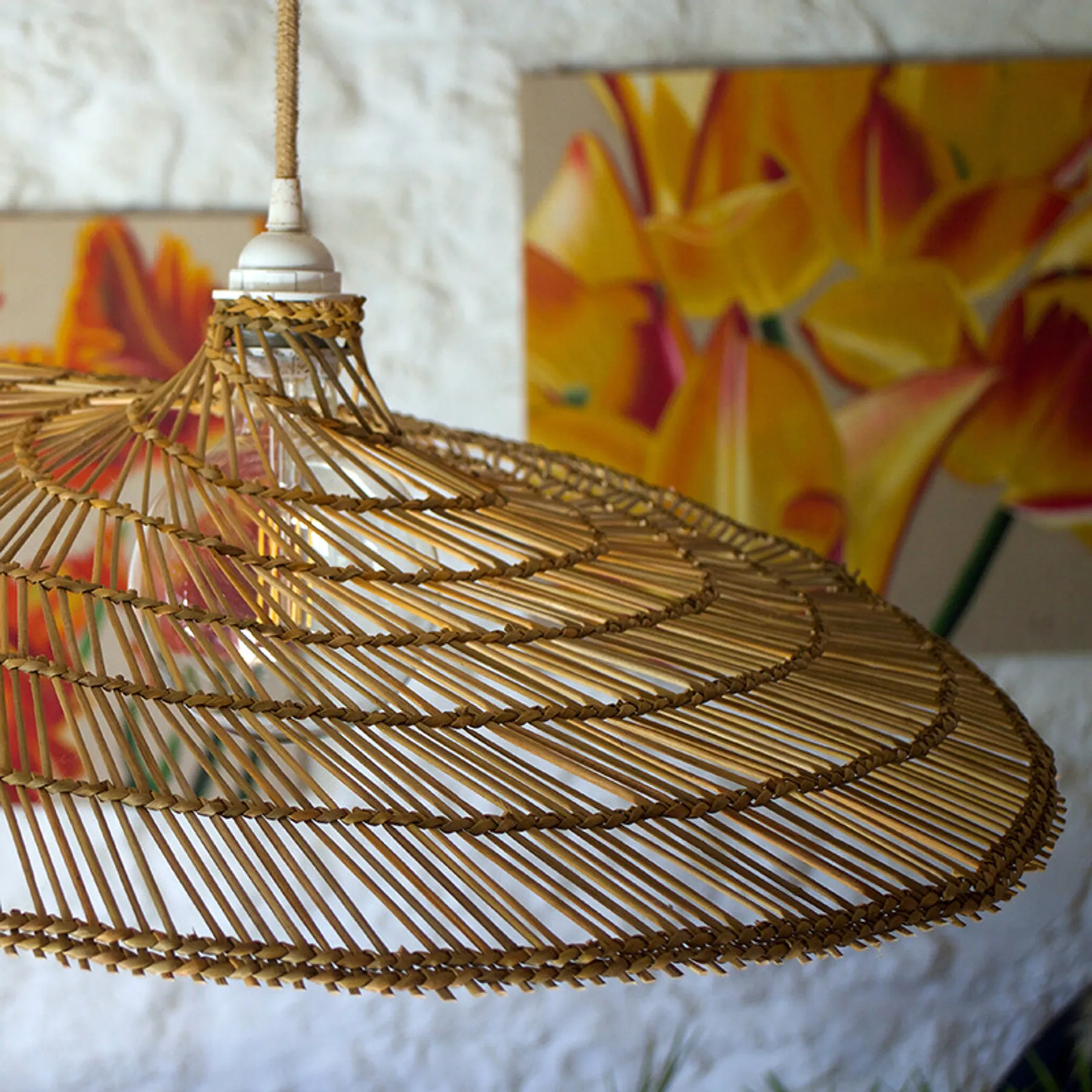 Initiez-vous à la vannerie sauvage sur une journée - Image n°1 - Wecandoo