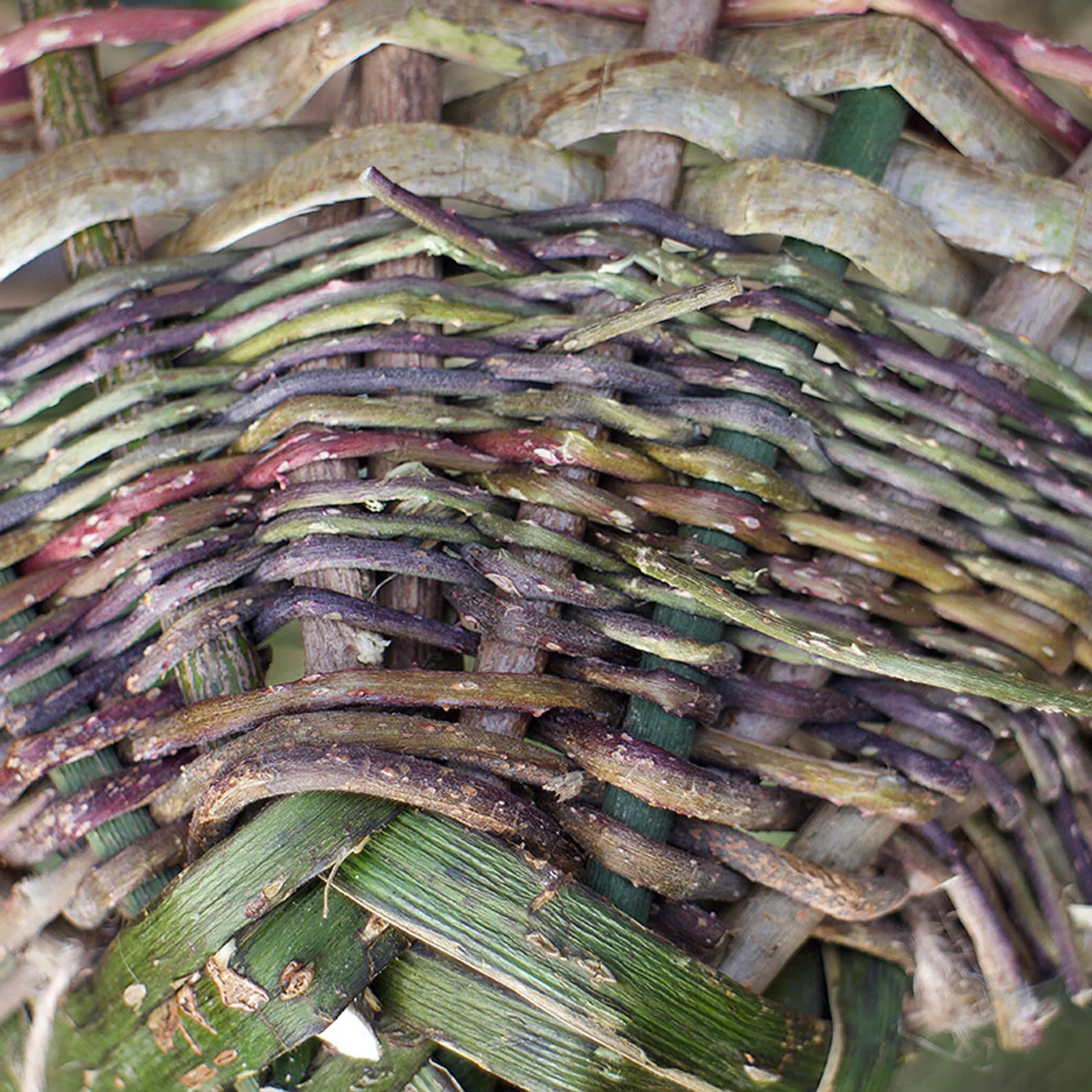 Initiez-vous à la vannerie sauvage sur une journée - Image n°3 - Wecandoo