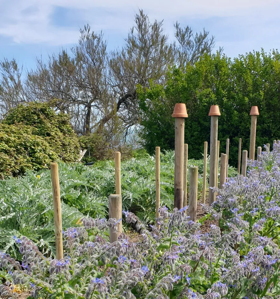 Initiez-vous à la permaculture sur une journée - Image n°1 - Wecandoo