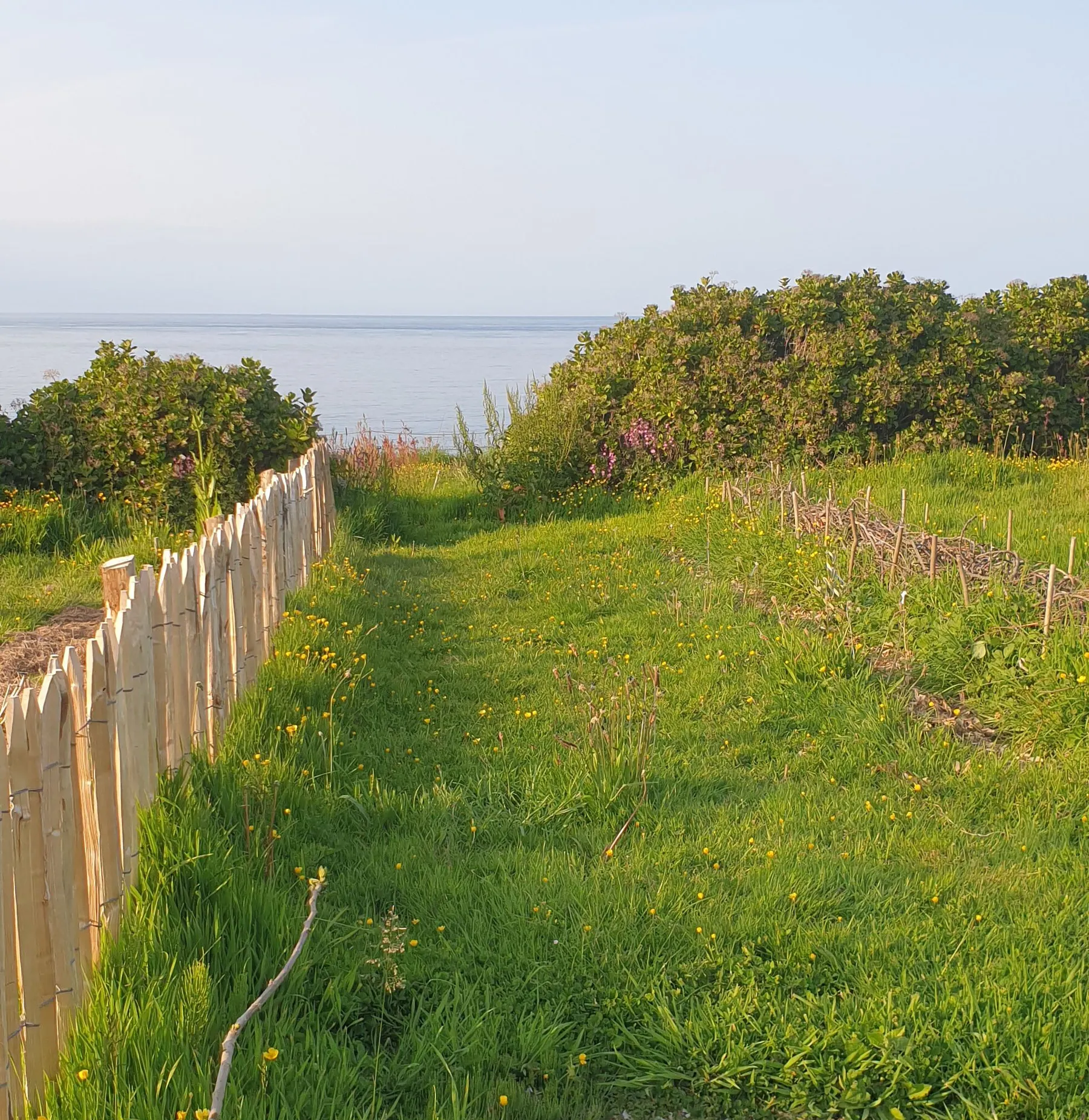 Initiez-vous à la permaculture sur une journée - Image n°4 - Wecandoo