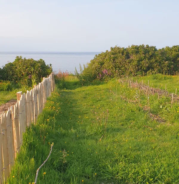 Initiez-vous à la permaculture sur une journée - Image n°4 - Wecandoo