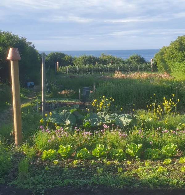 Initiez-vous à la permaculture sur une journée - Image n°2 - Wecandoo