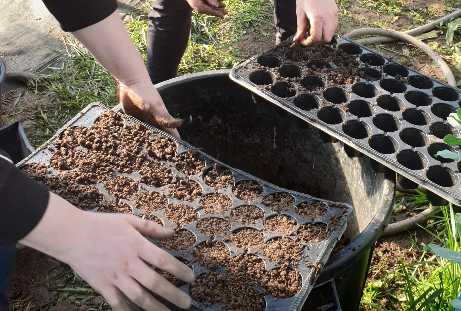 Initiez-vous à la permaculture sur une journée - Image n°3 - Wecandoo