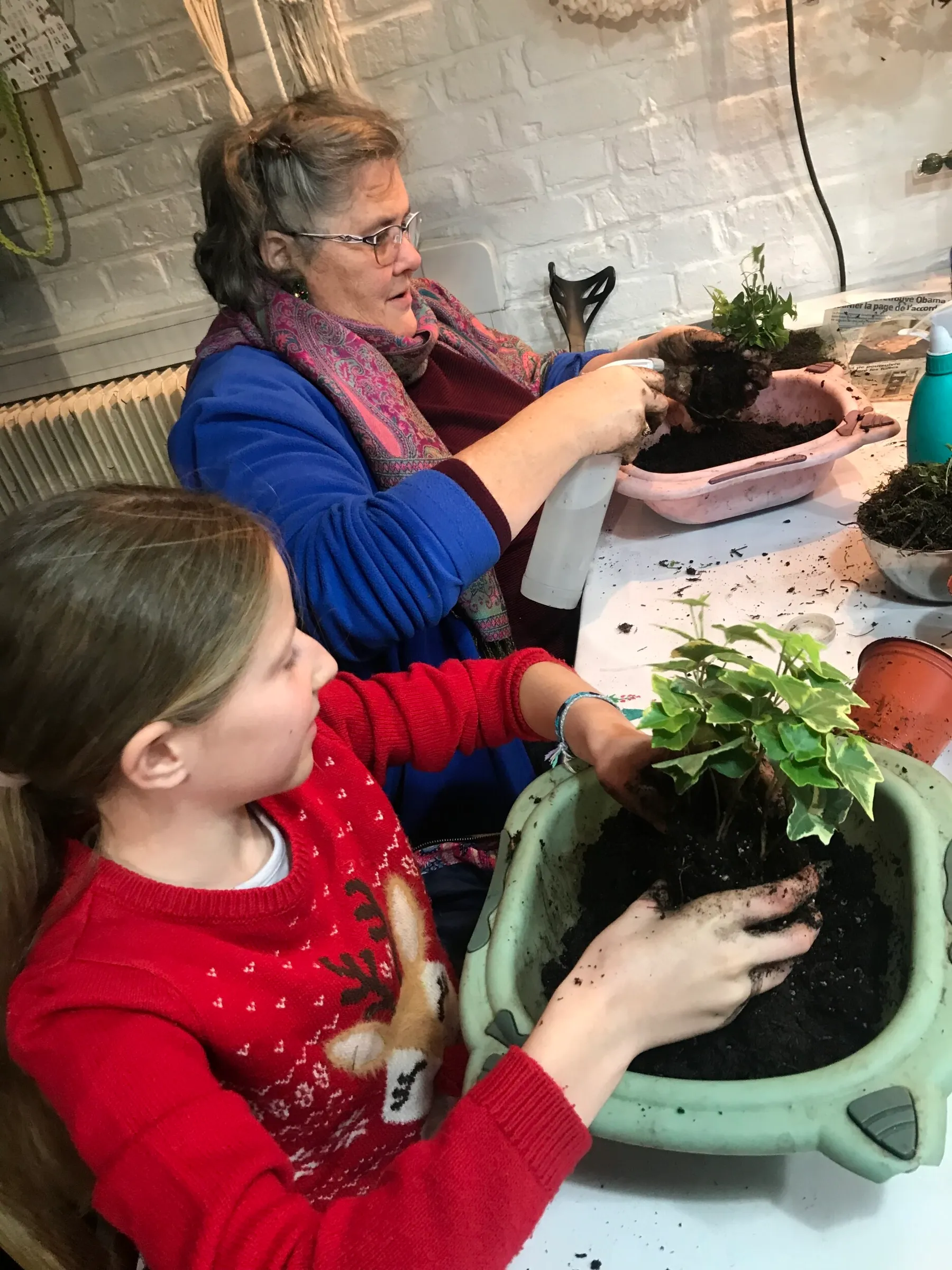 Réalise ton premier terrarium - Image n°2 - Wecandoo