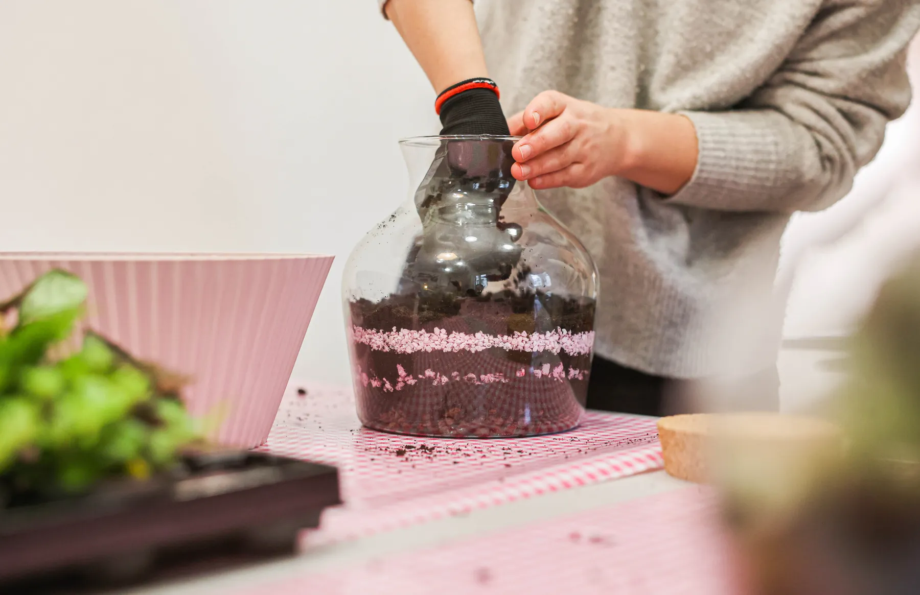 Composez votre terrarium - Image n°2 - Wecandoo