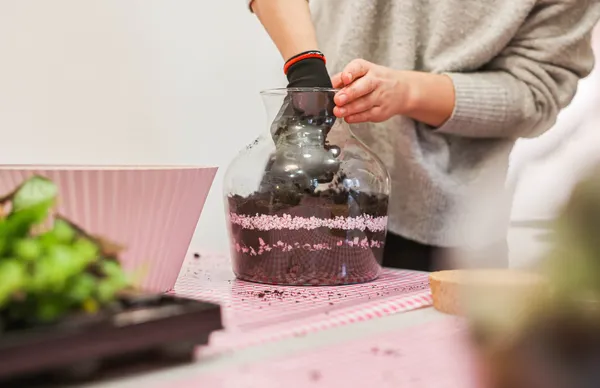 Composez votre terrarium - Image n°2 - Wecandoo
