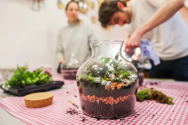 Composez votre terrarium - Image n°3 - Wecandoo