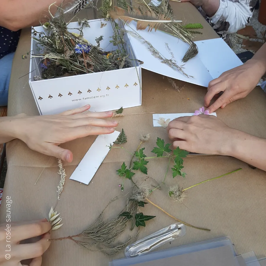 Découvrez le cyanotype - Image n°1 - Wecandoo