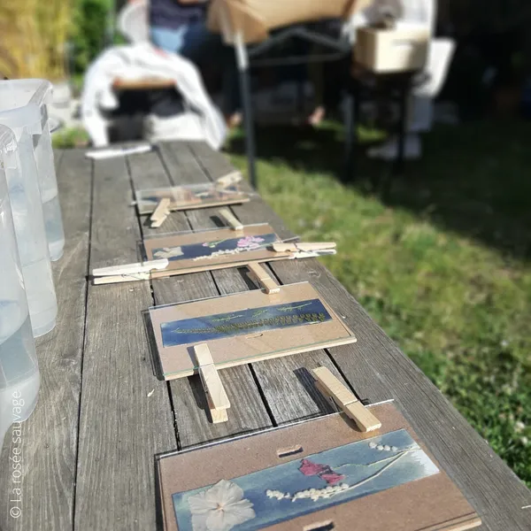 Découvrez le cyanotype - Image n°4 - Wecandoo