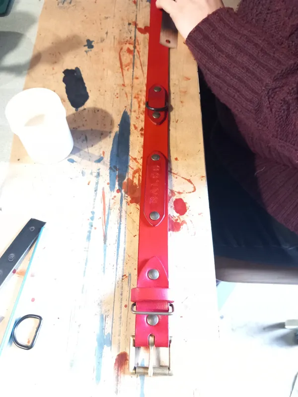 Réalisez un collier pour votre chien - Image n°3 - Wecandoo